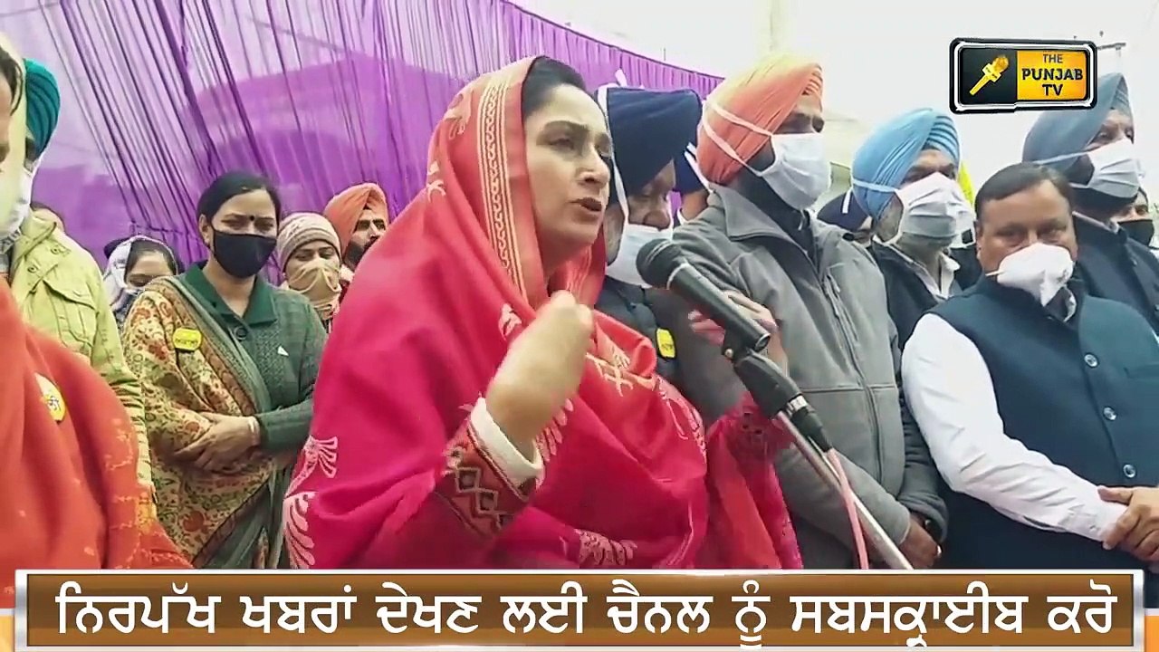 ਮੁੱਖ ਮੰਤਰੀ ਉਮੀਦਵਾਰ ਬਣਨ 'ਤੇ ਮਾਨ 'ਤੇ ਭੜਕੀ ਹਰਸਿਮਰਤ Harsimrat is angry on Bhagwant Mann | The Punjab TV