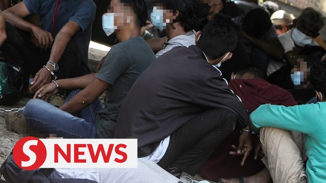 Johor police arrest 220 addicts during operation against drug activities