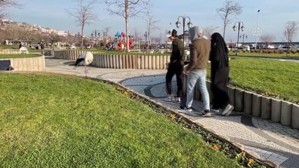 Göç etmeyen leylek Tekirdağ'ın maskotu oldu
