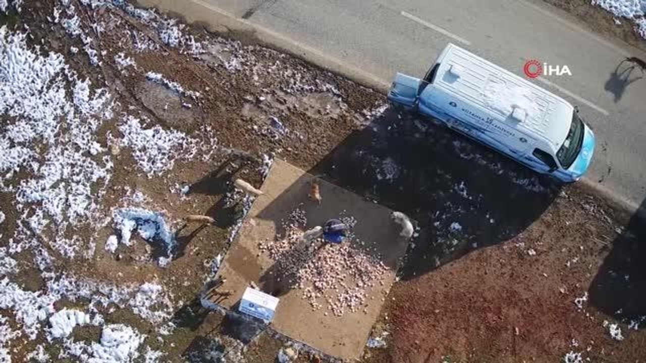 Soğuk kış günlerinde sokak hayvanları unutulmadı