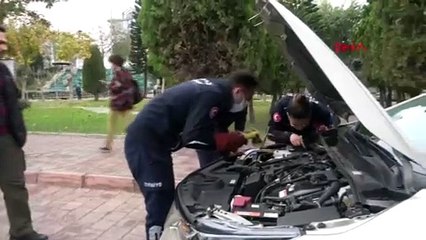 Otomobilin altına giren kedinin sesleri herkesi ayaklandırdı