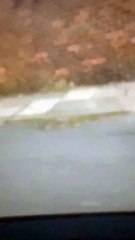 Police cordon after collision between car and four-year-old child