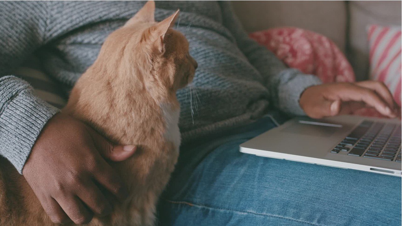 Corona bei Haustieren: Gefahr für Mensch und Tier?