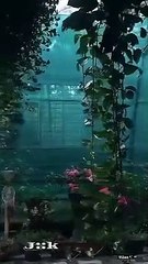 natural bifftyfully natural bifftyfully natural bifftyfully