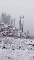 natural bifftyfully natural bifftyfully natural bifftyfully