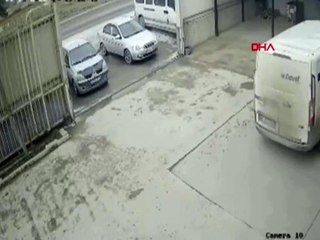 Kamyonetin ezdiği köpek öldü