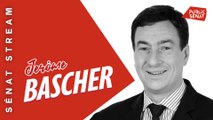 Jérôme Bascher - Sénat stream - Questions aux sénateurs