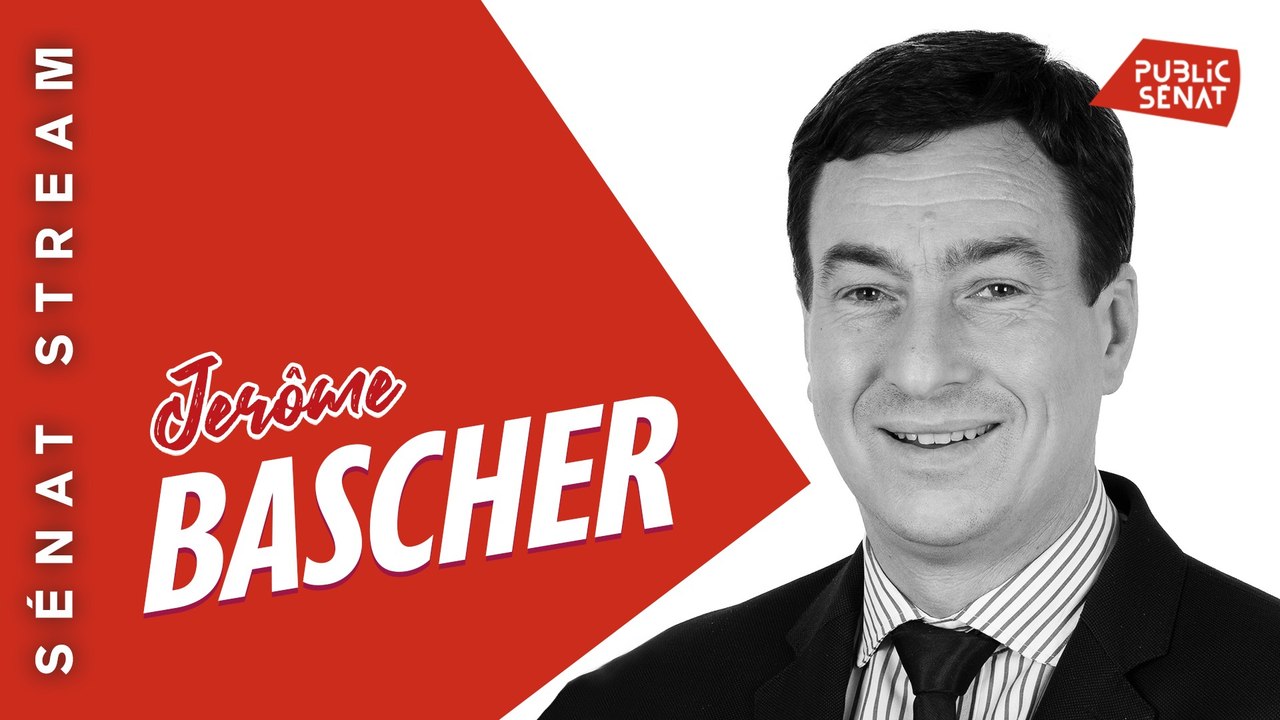 Jérôme Bascher - Sénat stream - Questions aux sénateurs