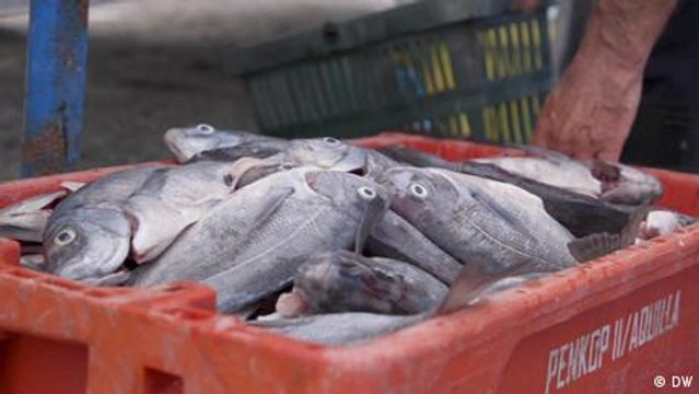 South Africa: Abalobi, a sustainable fishing app