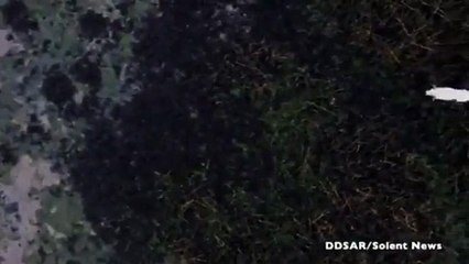 Mahsur kalan köpek için özel operasyon; drone'un ucuna sosis bağladılar