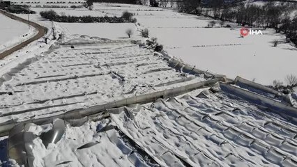 Kar gül serasını yerle bir etti.. 2,5 milyon gül zarar gördü