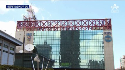 사극 촬영에 다리 묶여 고꾸라진 말 숨져…동물권단체, 책임자 고발