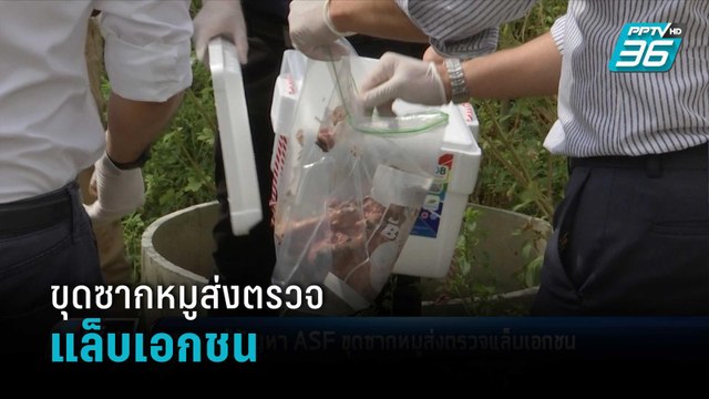 “เสรีพิศุทธ์”สงสัย สัมพันธ์บิ๊กป้อม-นายกฯ | เข้มข่าวค่ำ