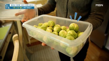 식전에 챙겨먹는 채소의 정체! 혈당 관리 돕는 '방울양배추'