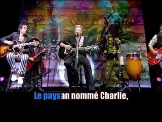 Johnny Hallyday_Cours plus vite Charlie (E. Cochran-Cut across shorty)(Clip Palais des Sports 2006)