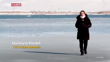 Van Gölü kısmen buz tuttu