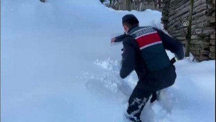 Son dakika haberi: KASTAMONU - Yolu kapanan köyde ilacı biten hastanın yardımına jandarma koştu