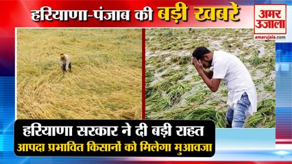 CM Manhohar Lal Gave Big Relief Disaster Affected Farmers|किसानों को मुआवजा समेत हरियाणा की खबरें