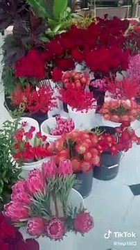 Bữa tiệc sang chảnh của ông bầu Vũ Khắc Tiệp