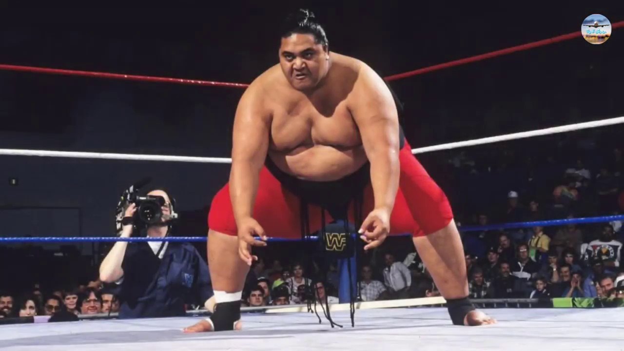 أضخم 20 مصارع في تاريخ المصارعة الحره / The 20 greatest wrestlers in the history of wrestling