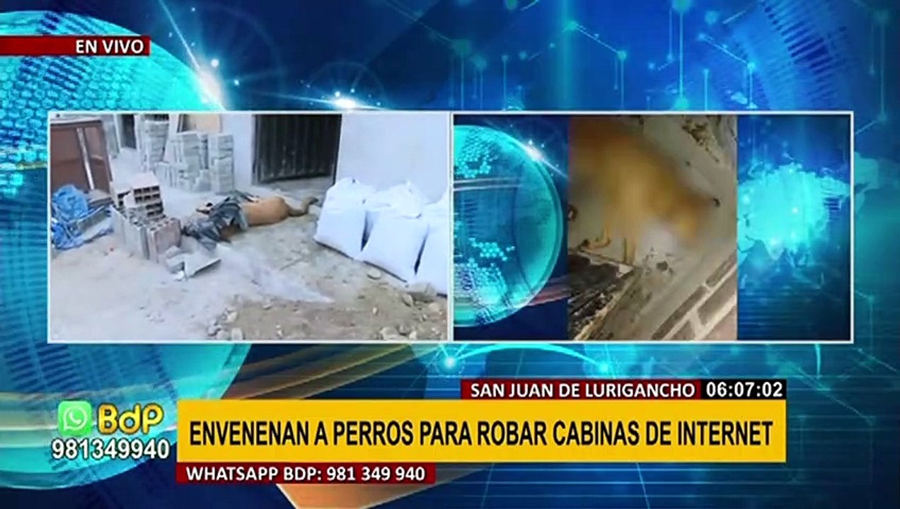 SJL: Envenenan a perros para robar cabinas de internet