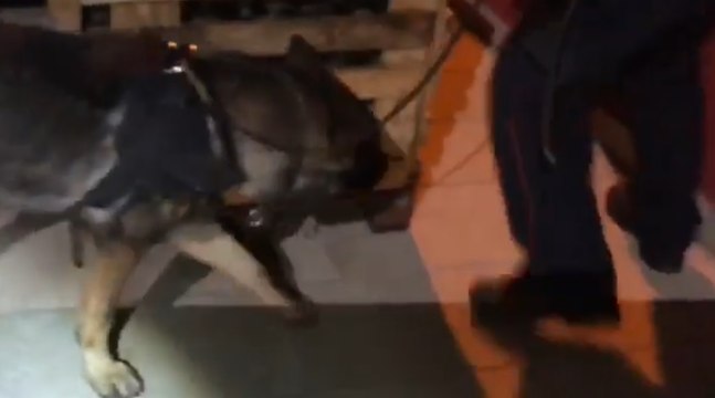 Brindisi - Droga e telefonini in carcere Brindisi, 12 arresti (21.01.22)