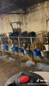 The young farmers from NI who are getting millions of views