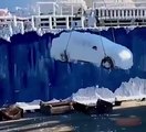 Un bateau japonais livre des voitures totalement gelées en Russie !