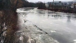 L'eau coule sous la glace de cette rivière... Incroyable
