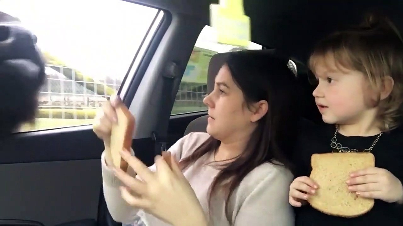 Un gros buffle vient manger par la fenêtre de leur voiture... un peu flippant