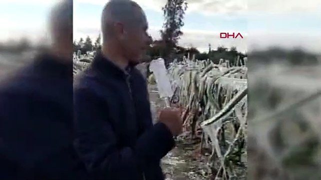 Bahçesi donan üretici buz sarkıtından mikrofon yapıp anons çekti