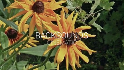 3_Backsound-Music-Cinematic-Alam-No-Copyright-Free-T