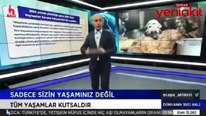 Emin Çapa çirkin üslubuyla sözde hayvanseverleri kışkırttı!
