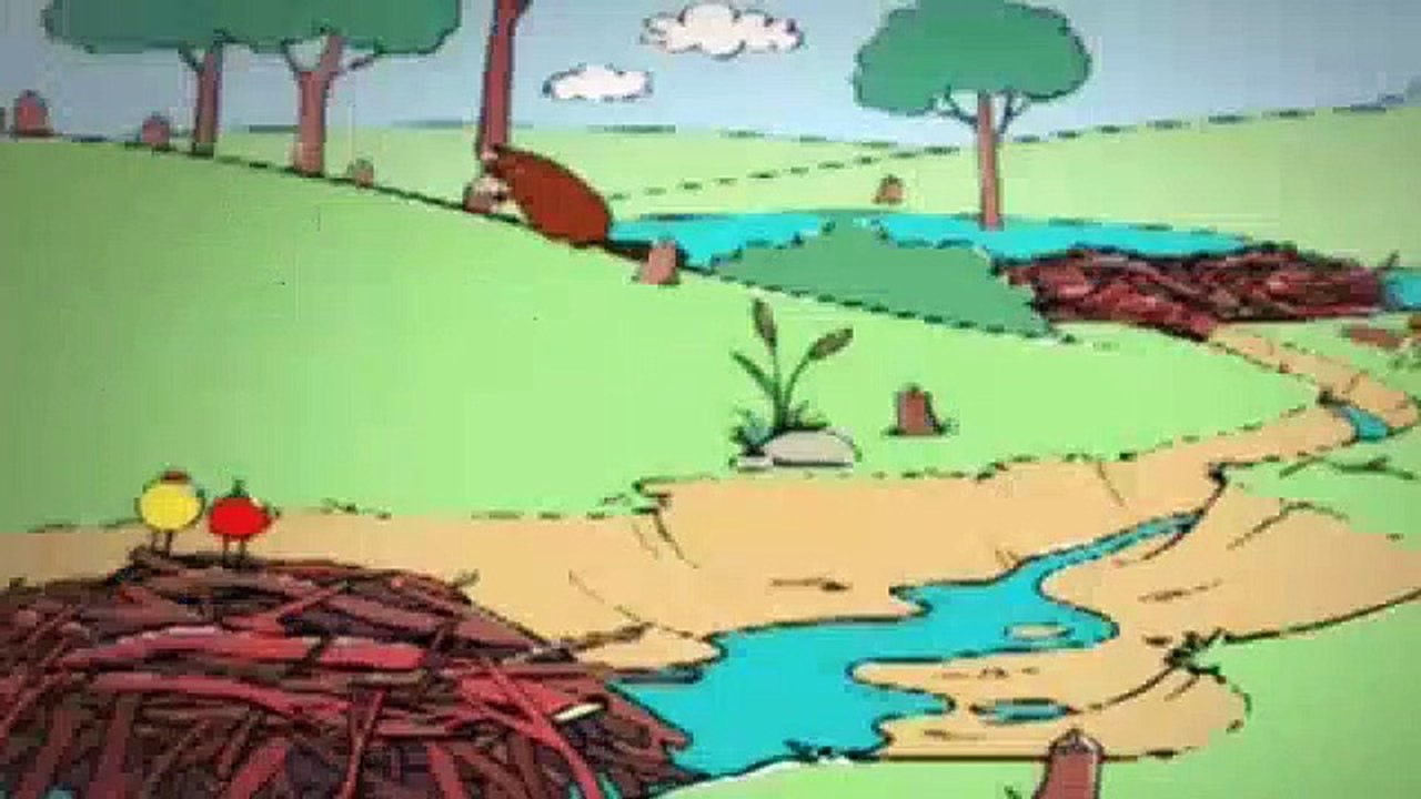 Peep and the Big Wide World S02E12 Dry Duck, Part 2