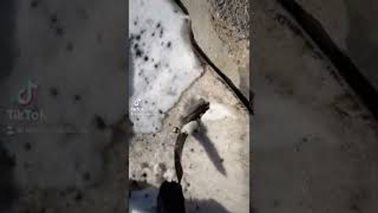 Lesson Learned About Pressurized Paint