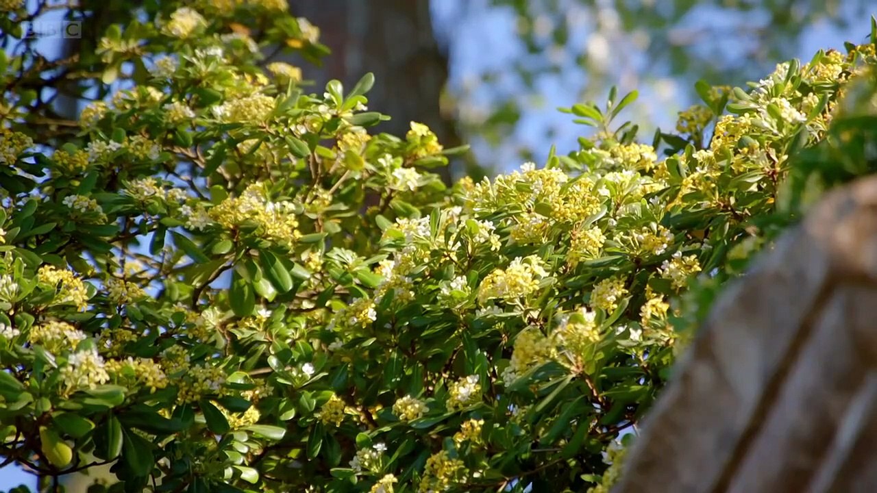 Monty Don's Adriatic Gardens episode 3