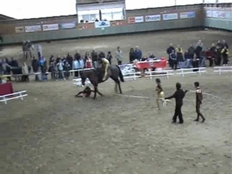 Equipe A Libre Cernay 2008