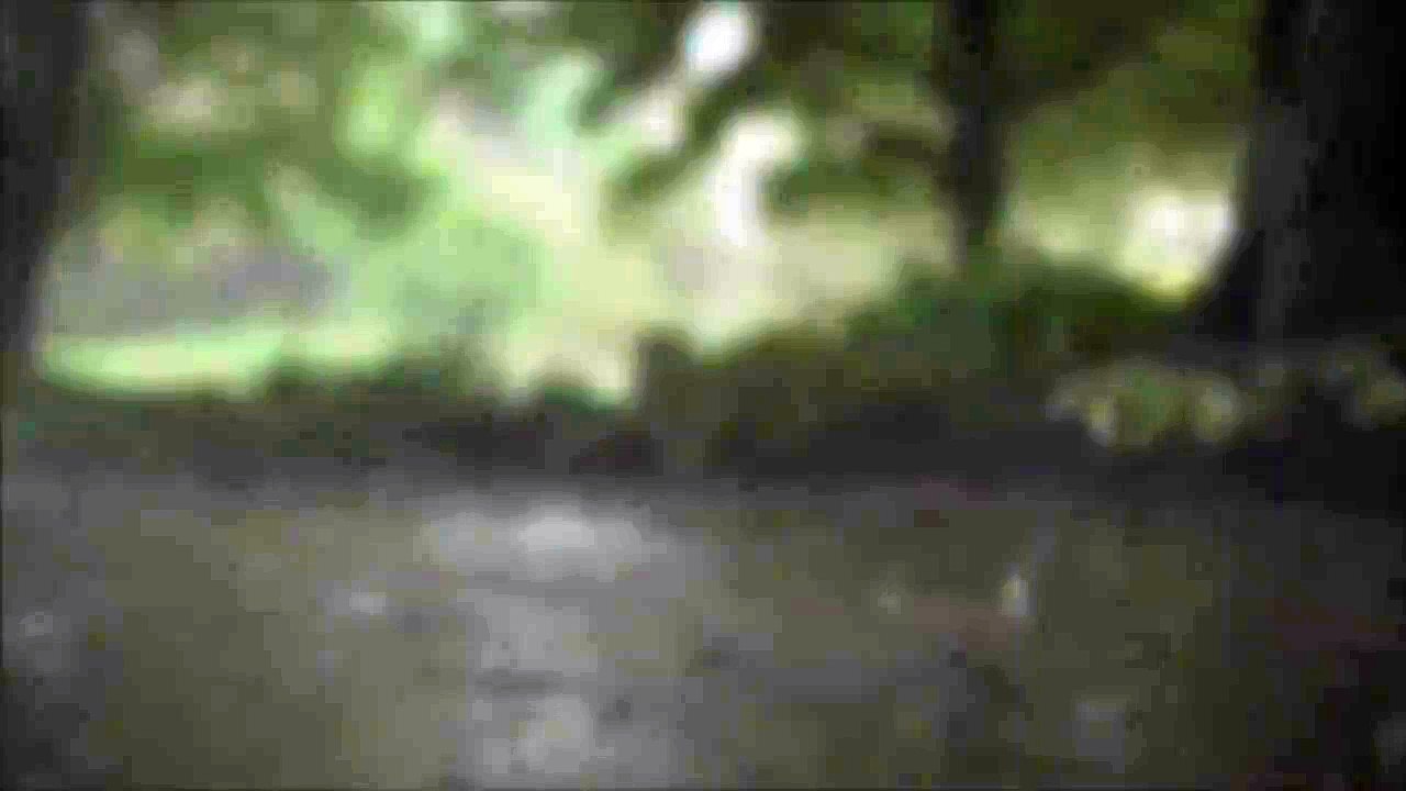 Rain Sounds   15 seconds soundtrack