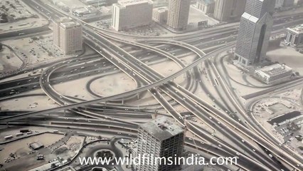 View of Dubai from Burj Khalifa