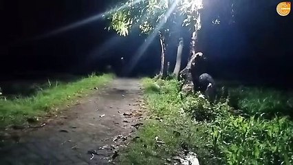 PRANK POCONG+KUNTILANAK PALING LUCU‼️BIKIN KETAWA TIDAK BERHENTI