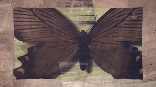 Gençlerbirliği Kulübünden İlhan Cavcav için duygusal klip