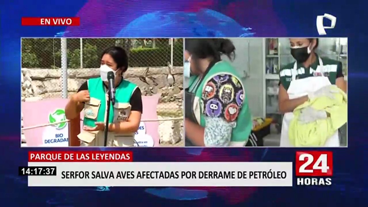 Serfor salva aves afectadas por derrame de petróleo