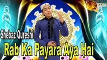 Rab Ka Payara Aya Hai  |  Hd Video | Naat  |  Shebaz Qureshi