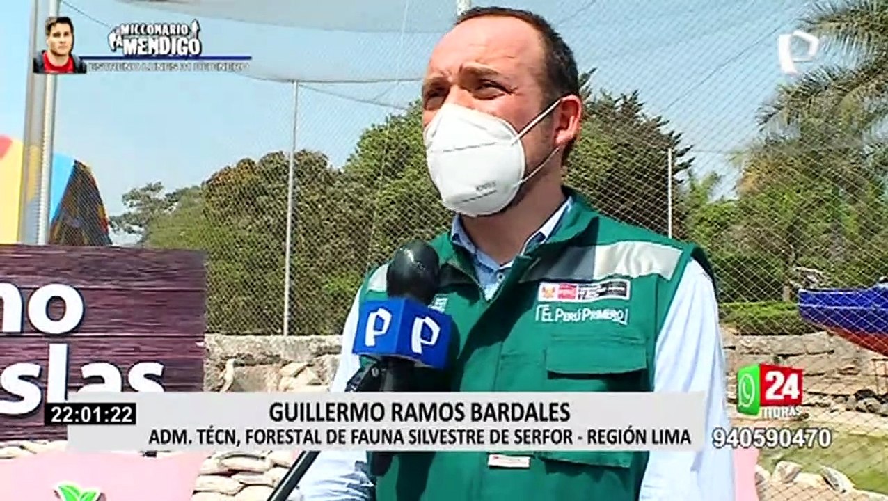 Serfor salva aves afectadas por derrame de petróleo