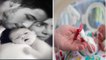 Priyanka Chopra Nick Jonas का Baby है Premature, Delivery Date से इतने Weeks पहले Birth| Boldsky