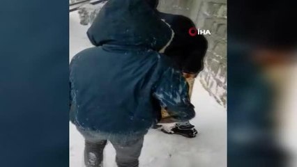 Siverek'te donmak üzere olan eşekler son anda kurtarıldı