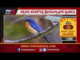 ಚಿತ್ರಕಲಾ ಪರಿಷತ್​ನಲ್ಲಿ ಫೋಟೋಗ್ರಾಫಿಗಳ ಪ್ರದರ್ಶನ | Perumal Photography |TV5 Kannada