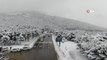 İstanbul'da etkili olan kar yağışıyla Aydos Ormanı beyaza büründü