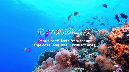 Surah Ar-Rahman (Be Heaven) سورة الرحمن good voice