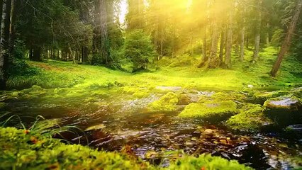 Relaxing Music Beautiful Piano Music, Background Music, Sleep Music